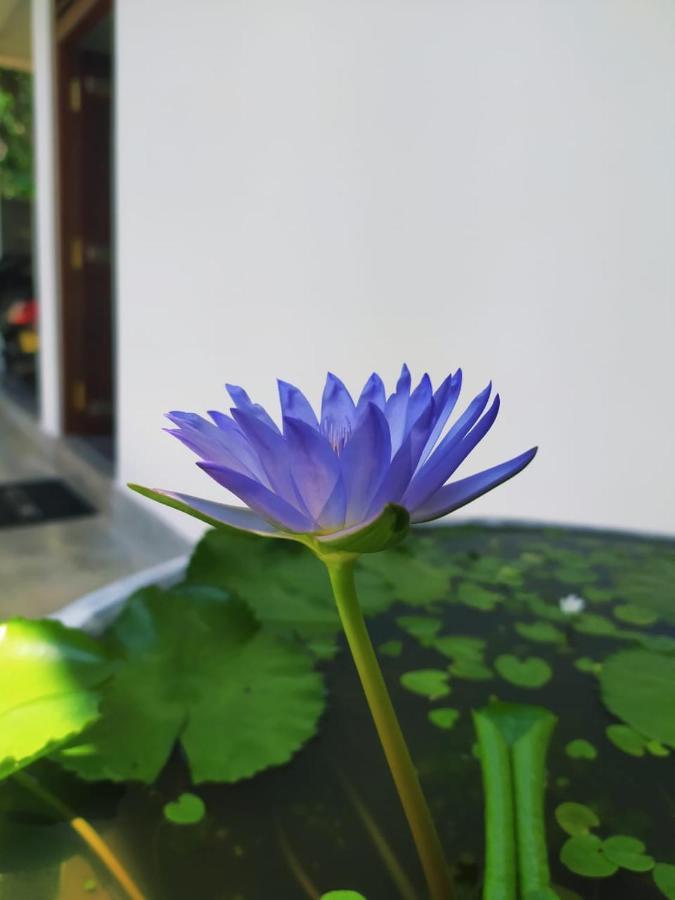 Saku Residence Unawatuna Luaran gambar